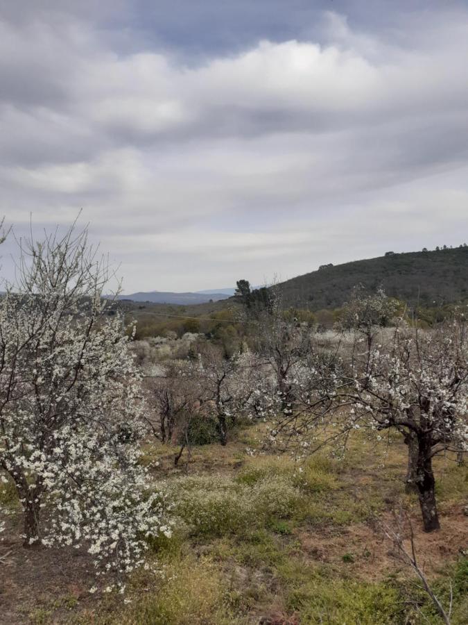 Country house Casa Belen I Y Ii Madronal